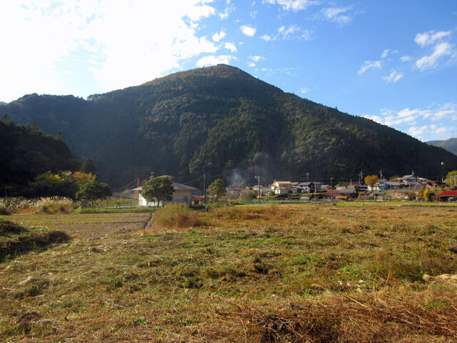 8_IMG_6532.jpg